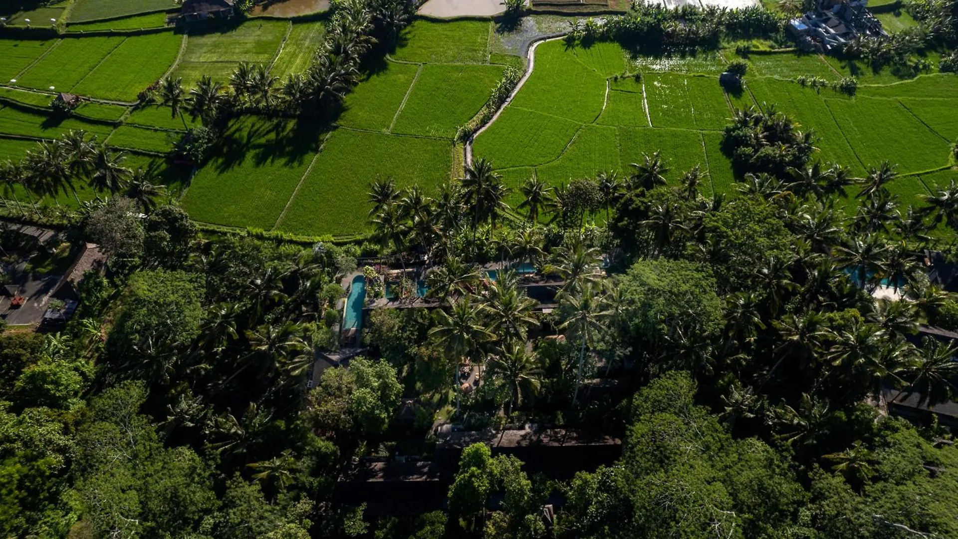 Ubud Padi Villas Ubud (Bali)